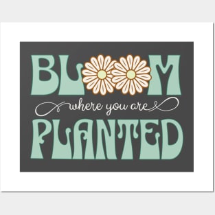 Bloom Where You Are Planted Posters and Art